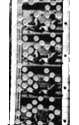 35- 